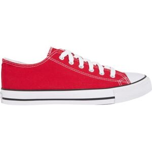 Firefly Canvas Low IV 43 EUR