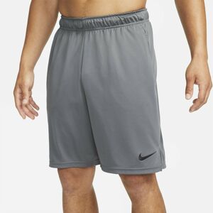 Nike Dri-FIT M Knit Training Shorts L