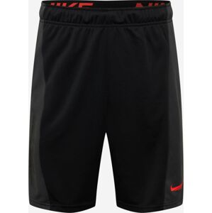 Nike M Dri-FIT Training Shorts L