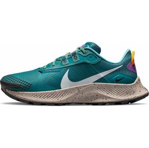 Nike Pegasus Trail 3 M 45,5 EUR
