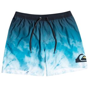 Quiksilver Everyday Faded Logo 17 S