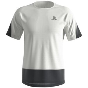 Salomon Cross Run T-Shirt M XL