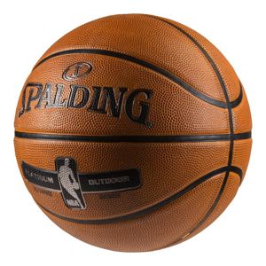 Spalding NBA Platinum size: 7