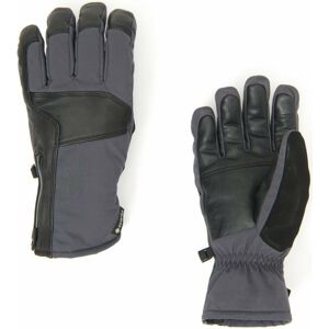 Spyder B. A. GTX Ski Gloves M M