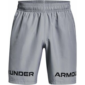 Under Armour WOVEN GRAPHIC SHORT XL