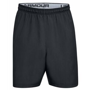 Under Armour Woven Graphic Wordmark Shorts L